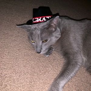 Meet your Posher, Karla